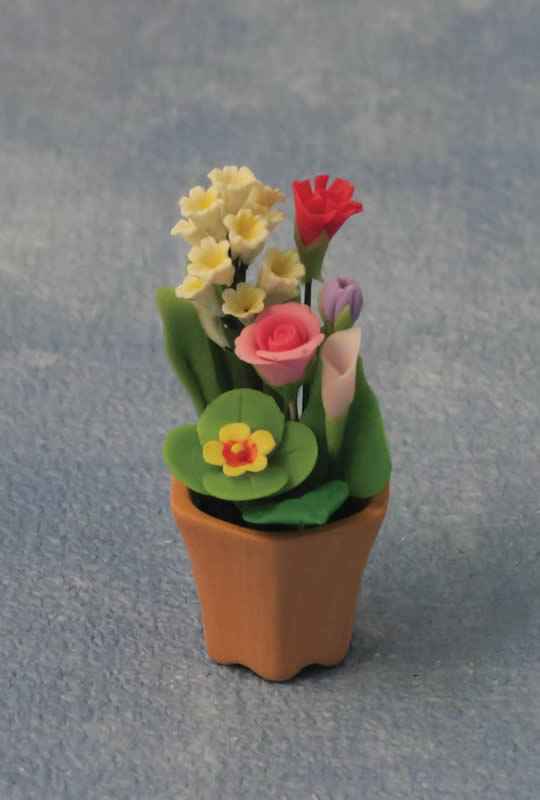 Bloemen in Pot