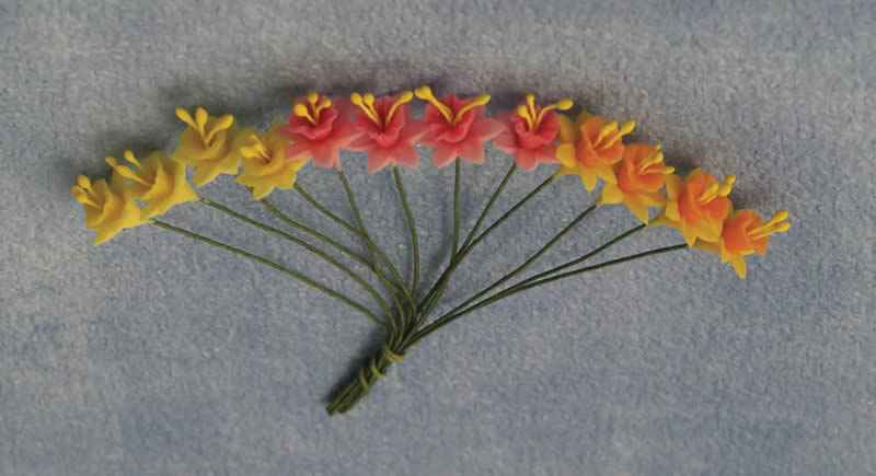 Narcis,12 stuks