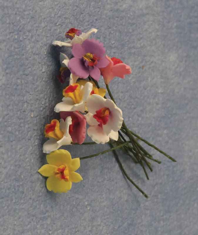 Orchidee, 12 stuks