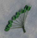 Blad, 12 stuks