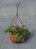 Fuchsia in hangende mand