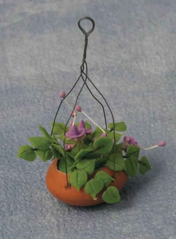 Fuchsia in hangende mand