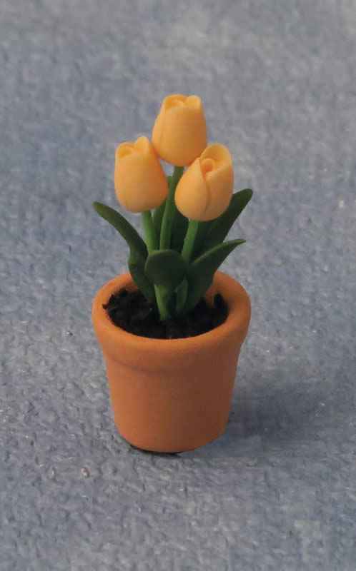 Tulpen in pot