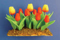 Bloembedje met Tulpen om in de tuin te poten