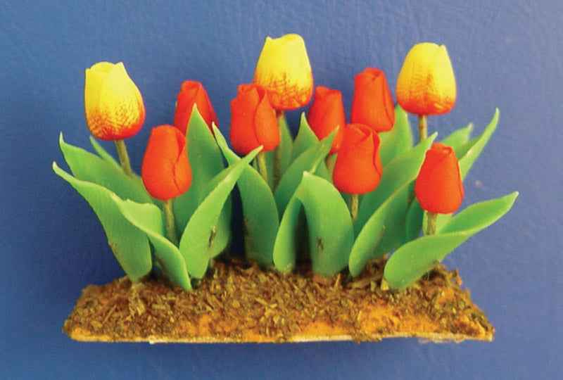 Bloembedje met Tulpen om in de tuin te poten