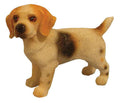 Beagle, staand