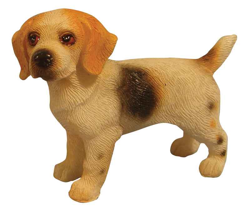 Beagle, staand
