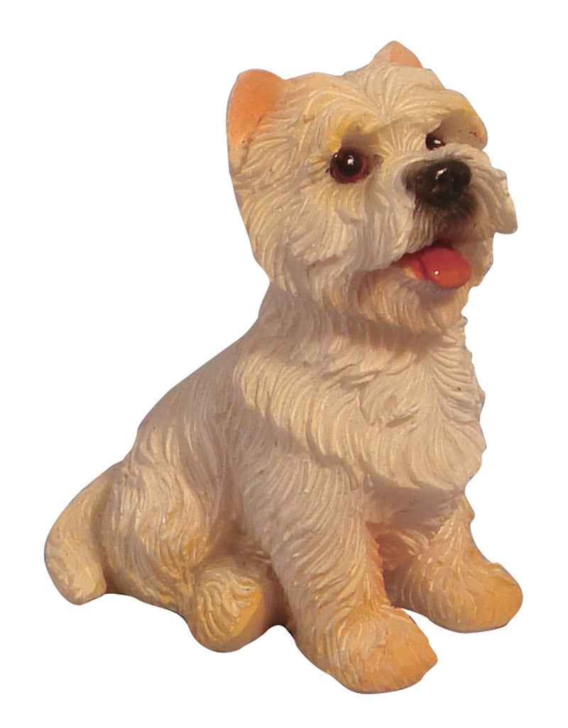West Highlandterrier, zittend