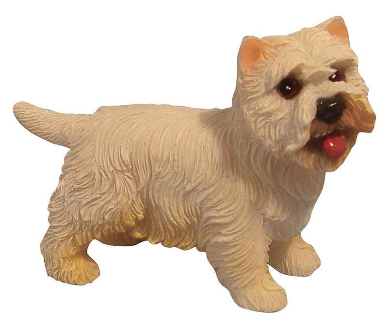 West Highlandterrier, staand