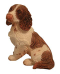 Cockerspaniel, zittende