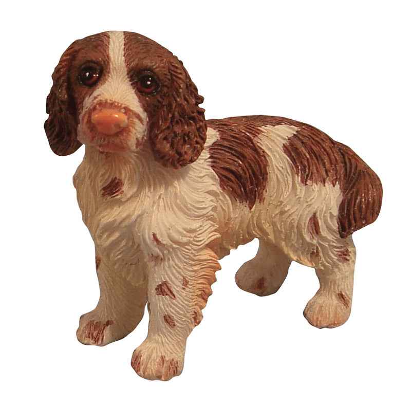 Cockerspaniel, staand