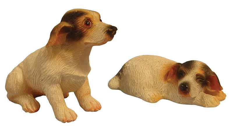 Jack Russel, per 2 st.