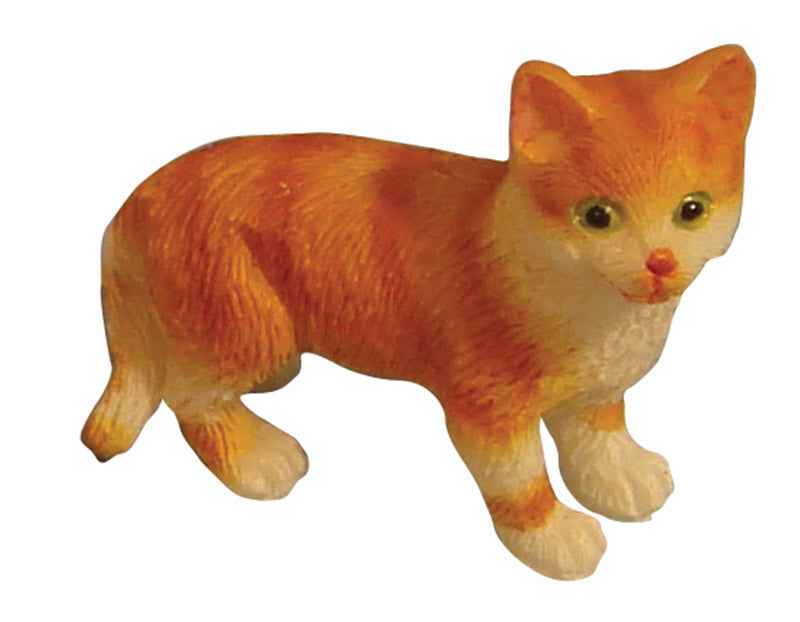 Kat, rossig met wit, 5 stuks