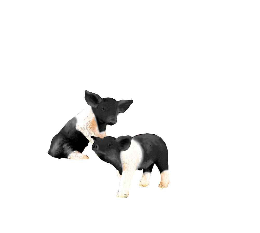 Varkentjes, 2 stuks