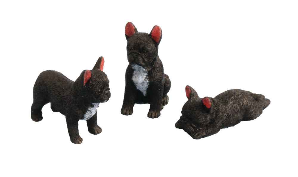 Franse Bulldog, 3 stuks