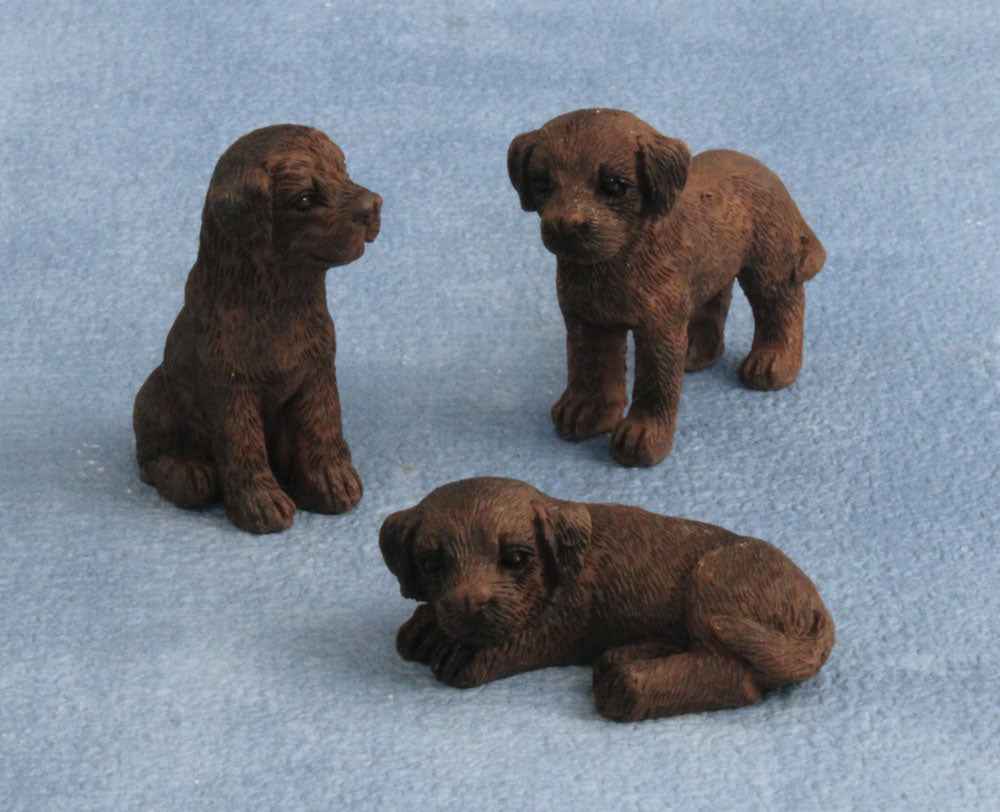Labrador puppy chocolade, 3 stuks
