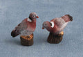 Duiven, 2 stuks