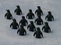 Penguin, 12 stuks