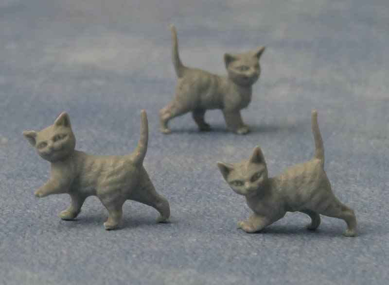 Grijze kittens, 12 stuks
