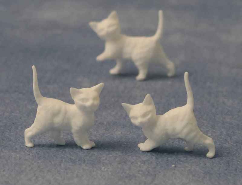 Witte kittens, 12 stuks