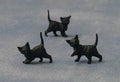 Zwarte kittens, 12 stuks