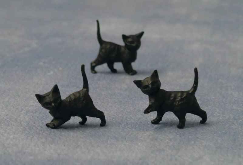Zwarte kittens, 12 stuks