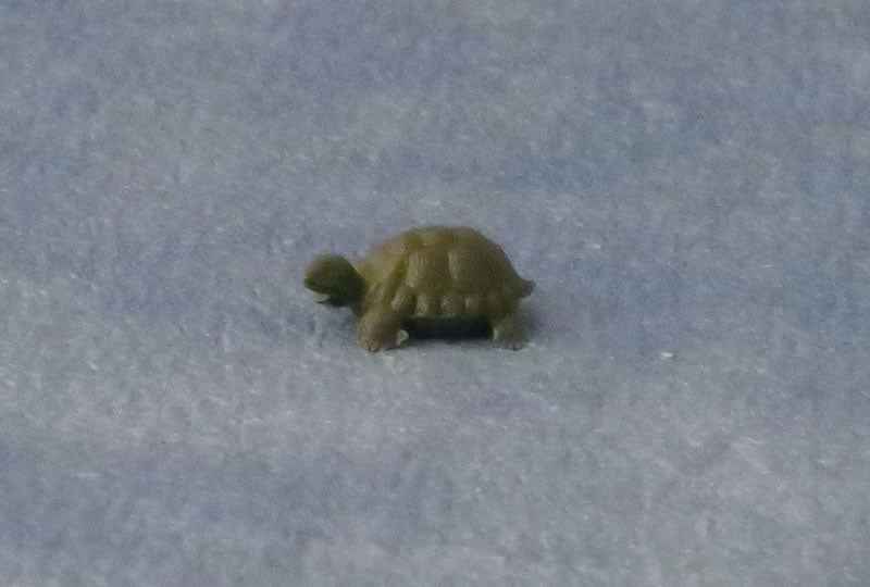Kleine schildpad, 2 stuks