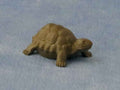 Schildpad. 2 stuks