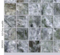 Vloer Grijs Marble