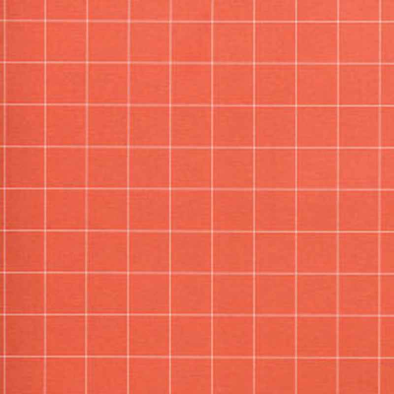 Vloer Quarry Tiles