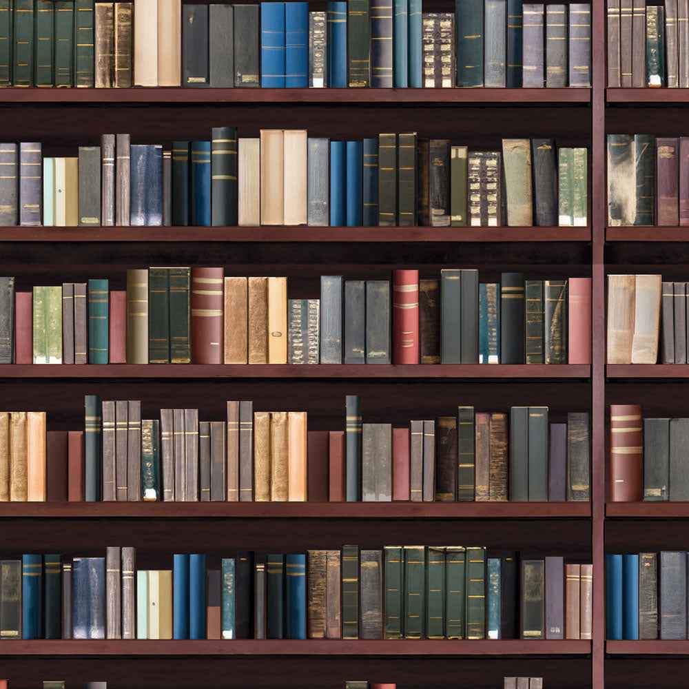 Vel Traditionele bibliotheekplanken A3