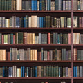 Vel Traditionele bibliotheekplanken A3