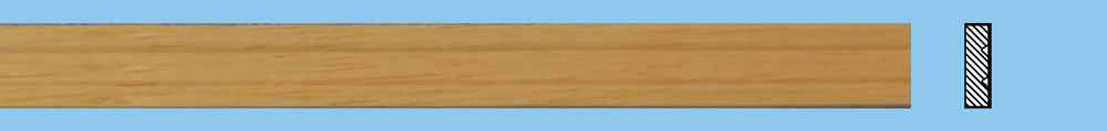Profiel strip