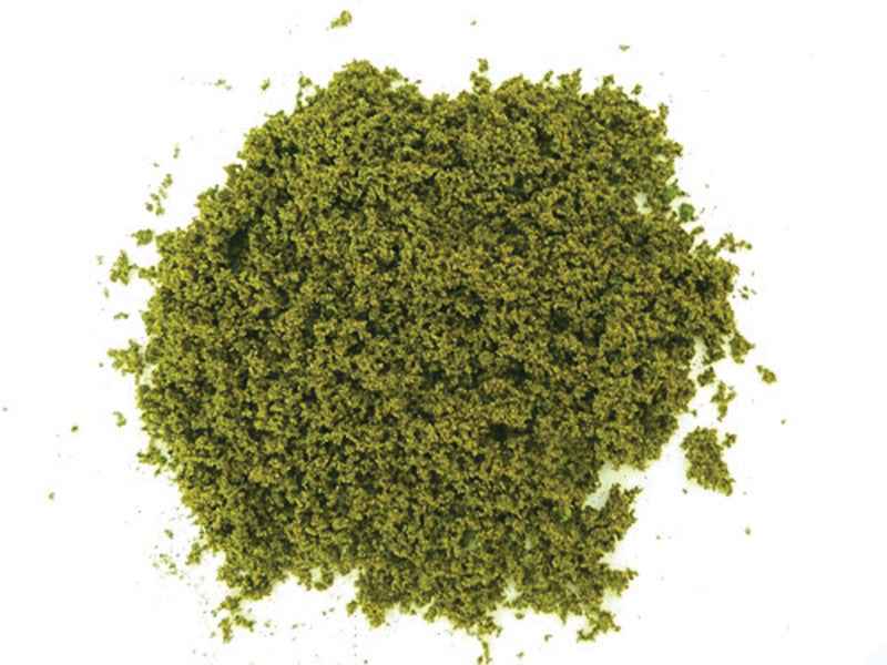 Golfbaangras, 20 gram, lichtgroen