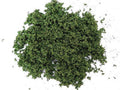 Golfbaangras, 20 gram, donkergroen