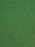 Fijn gras, donder groen