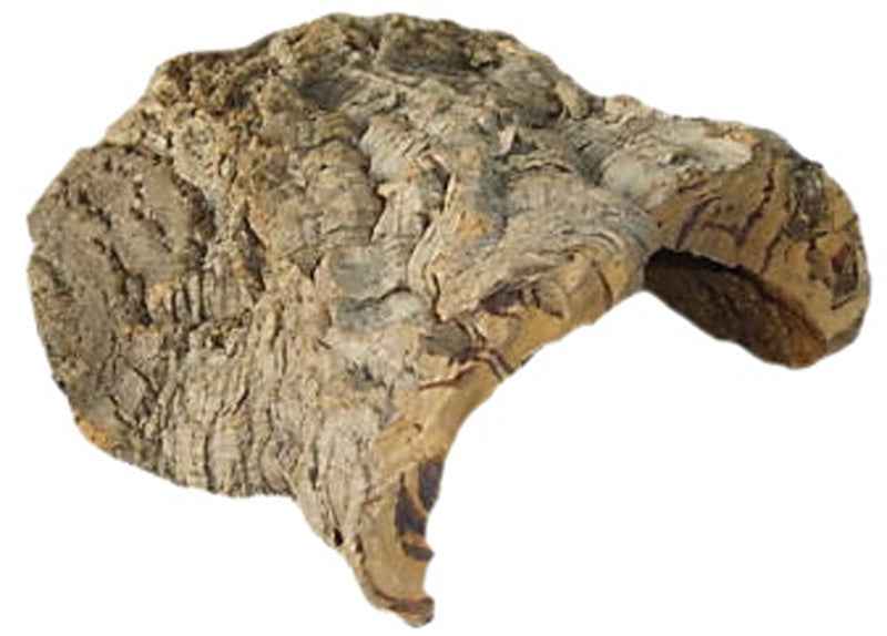 Kurkschors