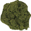 Boomgebladerte groen