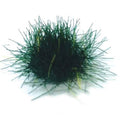 Plukjes gras, groen