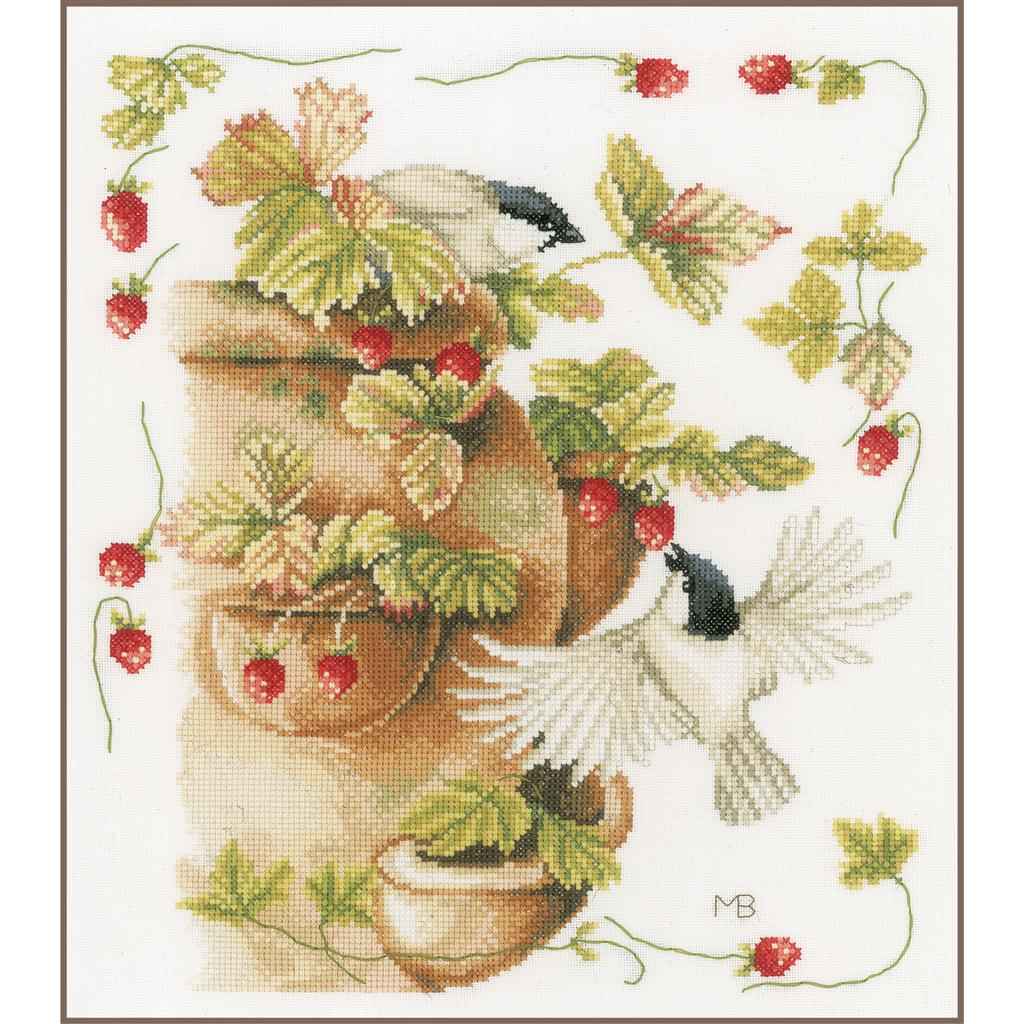 Telpakket aardbeien en vogels