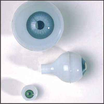 2 Poppenogen glastic licht groen