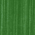 Poppenhuis behang Dragged Dark green