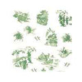 Behang Groen