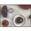 Bruine glasogen, berenogen aannaaibaar, , 48100