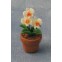 Orchidee in Pot                                              , Babette Miniatures, D87017