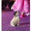 Fergie de Jack Russell Terrier                       , Dolls House Emporium, 7334