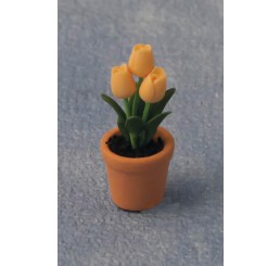 Tulpen in pot                                           