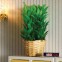 groene plant in rieten mand                                   , Dolls House Emporium, 5927