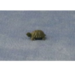 Kleine schildpad, 2 stuks
