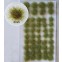 Herfstmix pollen, Javis, JTUFT7